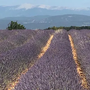 https://provence-luberon-bonnieux-location-gite-chez-marcelle.fr-provencehotel.com